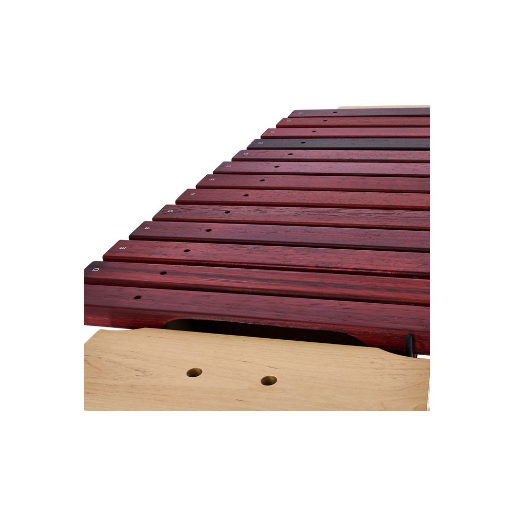 Thomann Basso Xylophone TBX – Thomann Ireland