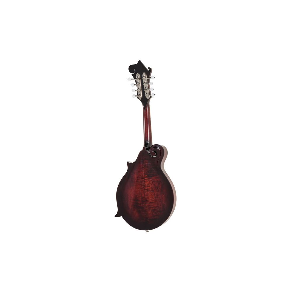 Epiphone F