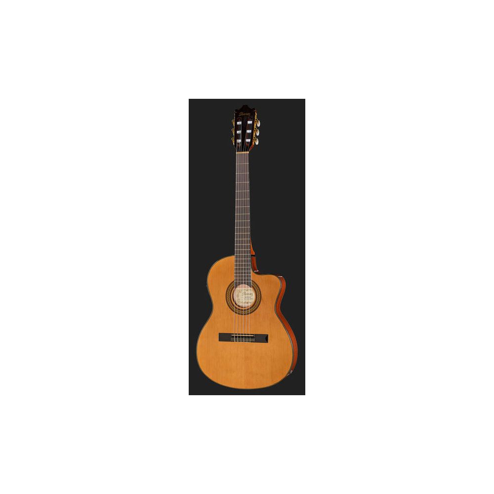Ibanez GA5TCE