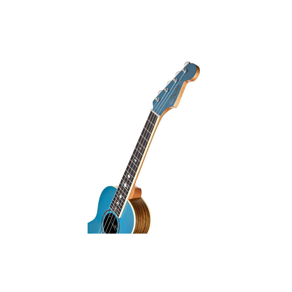 Fender Dhani Harrison Ukulele Tq – Thomann Ireland