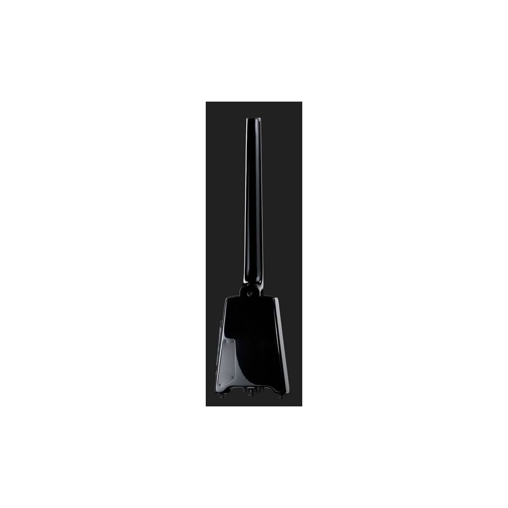 Steinberger Guitars GT