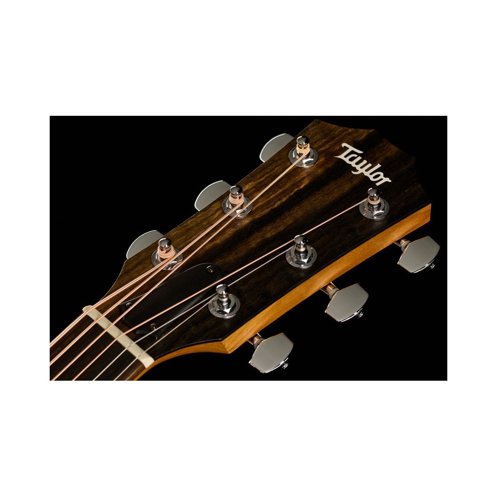 Taylor 110ce Sapele – Thomann Ireland