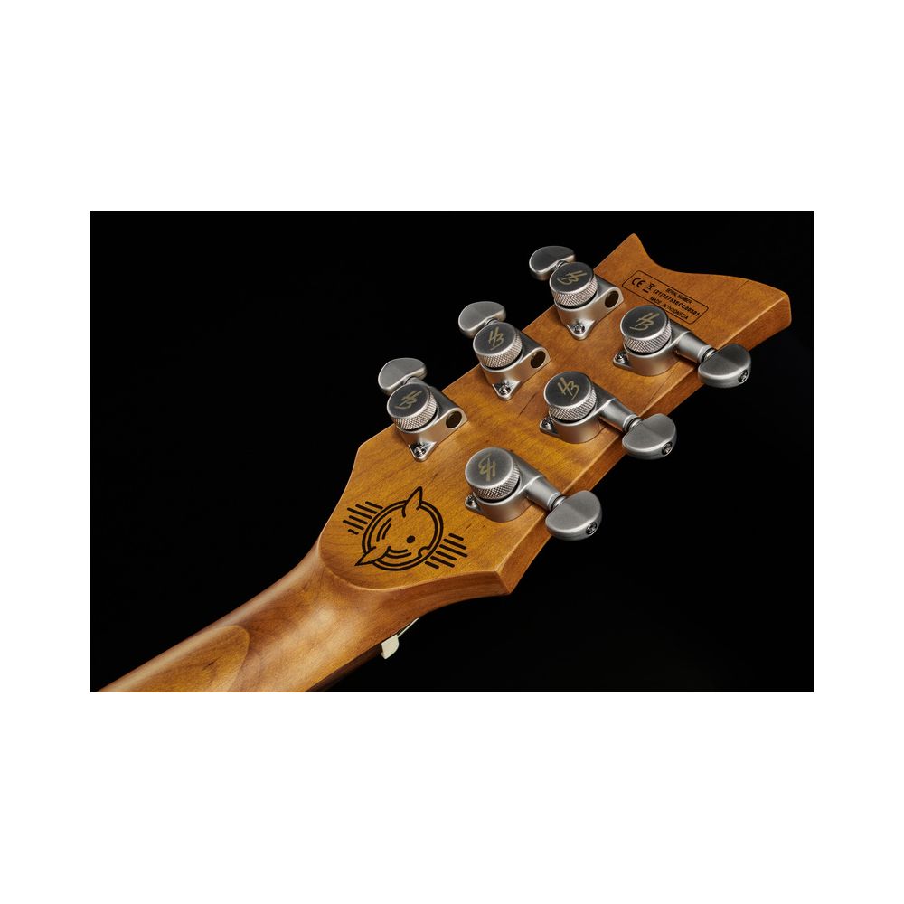 Harley Benton Agufish Custom Signature BT PB – Thomann Ireland