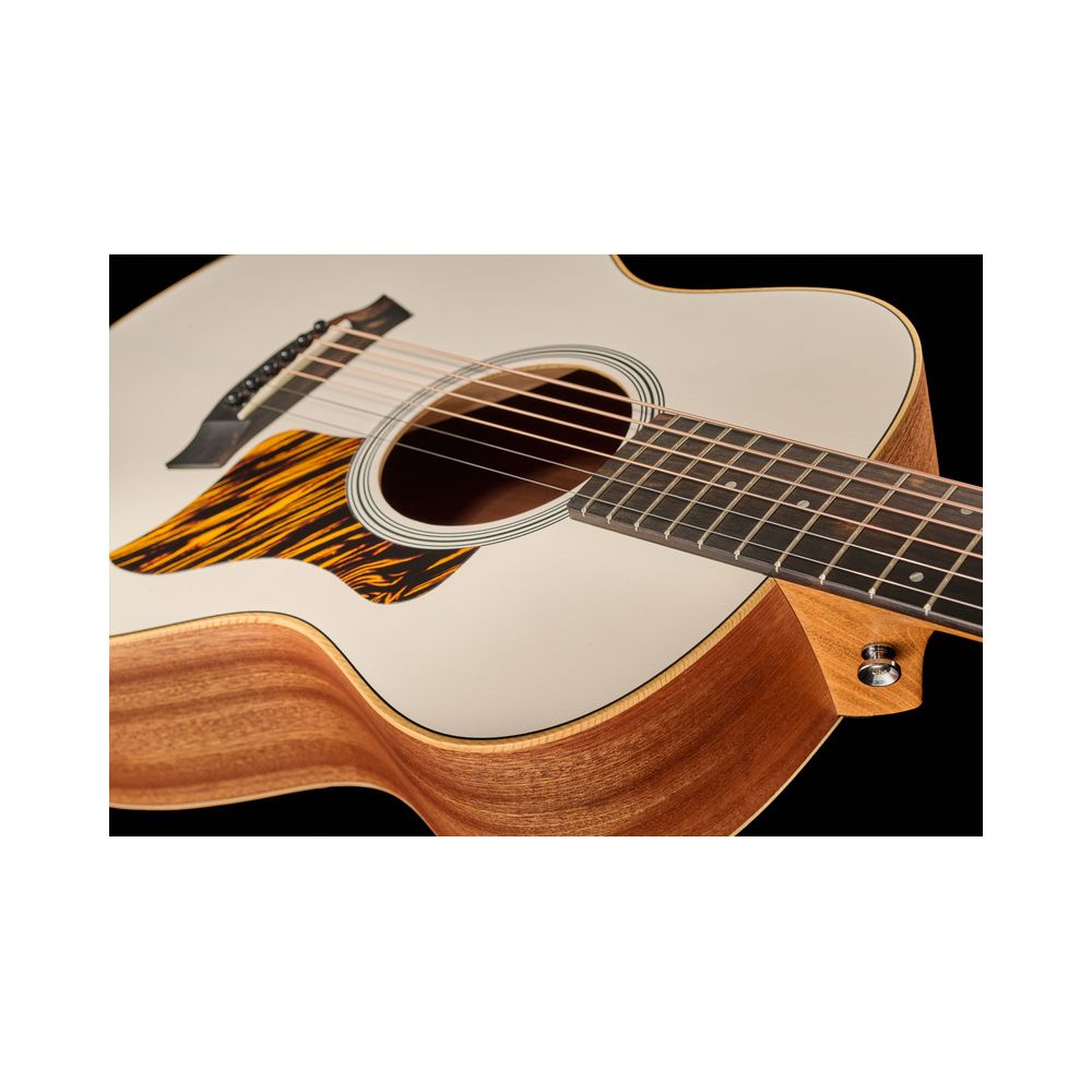 Taylor GS Mini