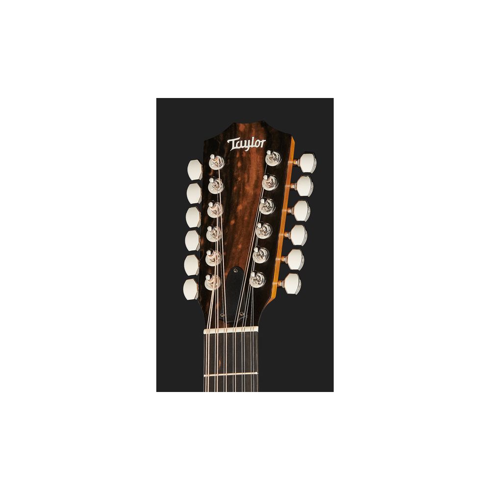 Taylor 254ce Plus – Thomann Ireland