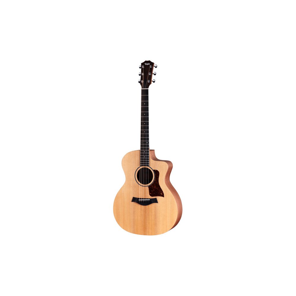 Taylor 14ce – Thomann Ireland