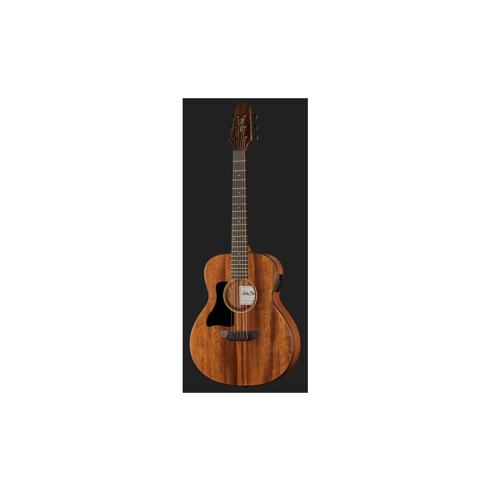 Harley Benton GS