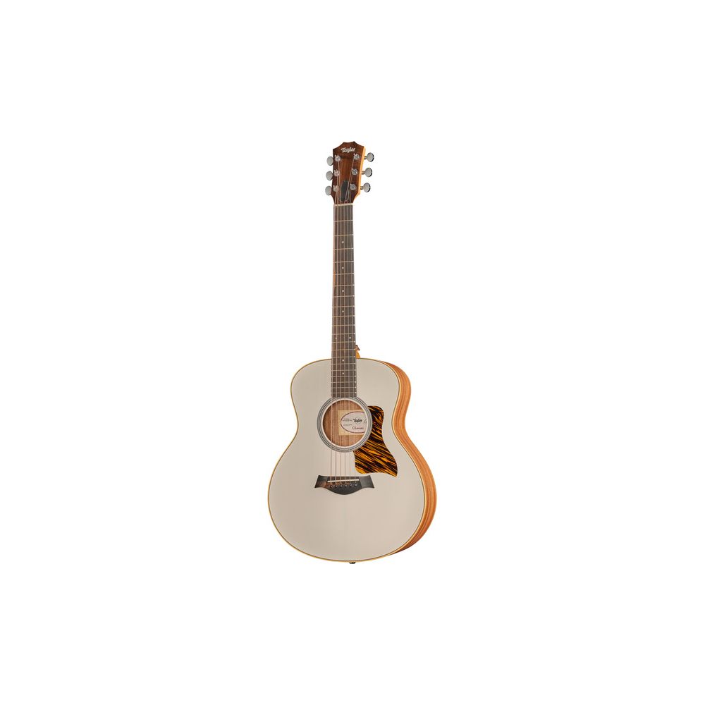 Taylor GS Mini