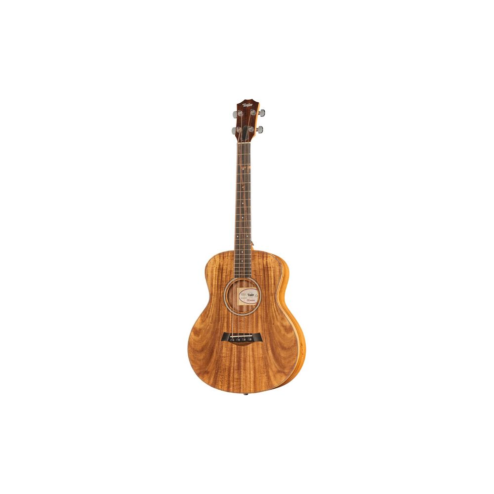 Taylor GS Mini