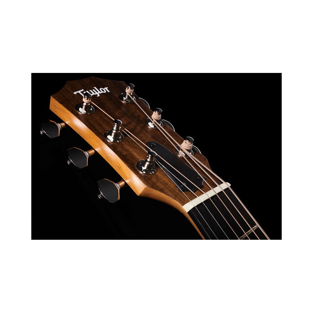 Taylor GS Mini