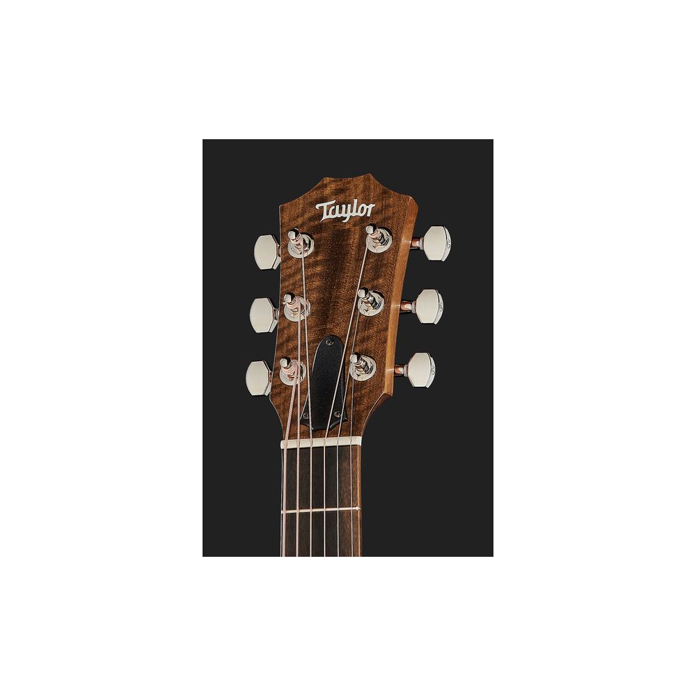 Taylor GS Mini