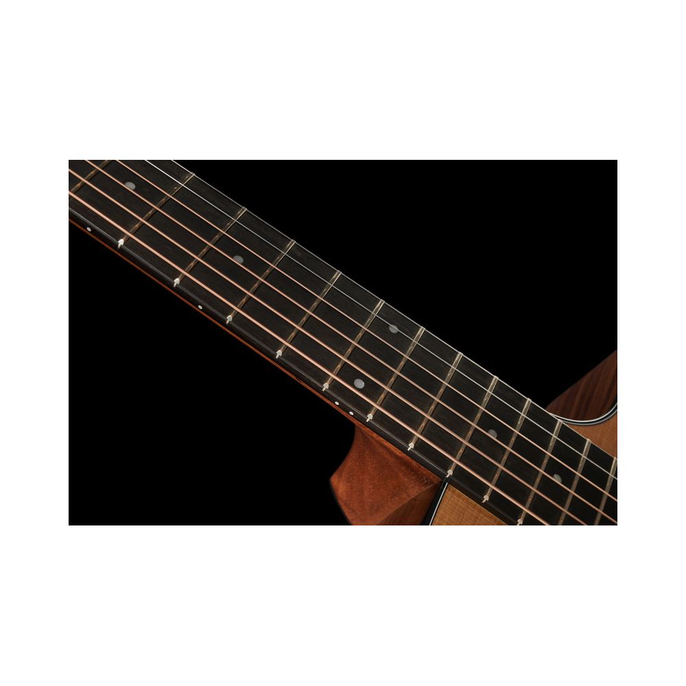 Taylor 210ce Plus – Thomann Ireland