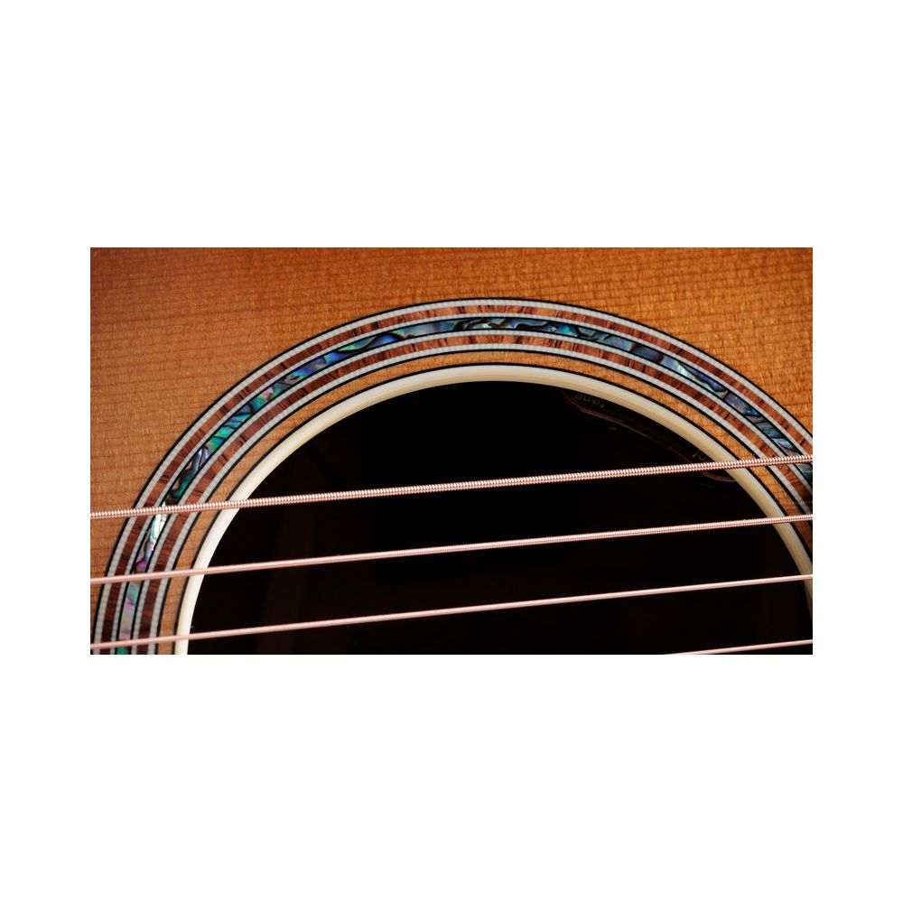 Taylor Gold Label 814e Koa Sunburst – Thomann Ireland