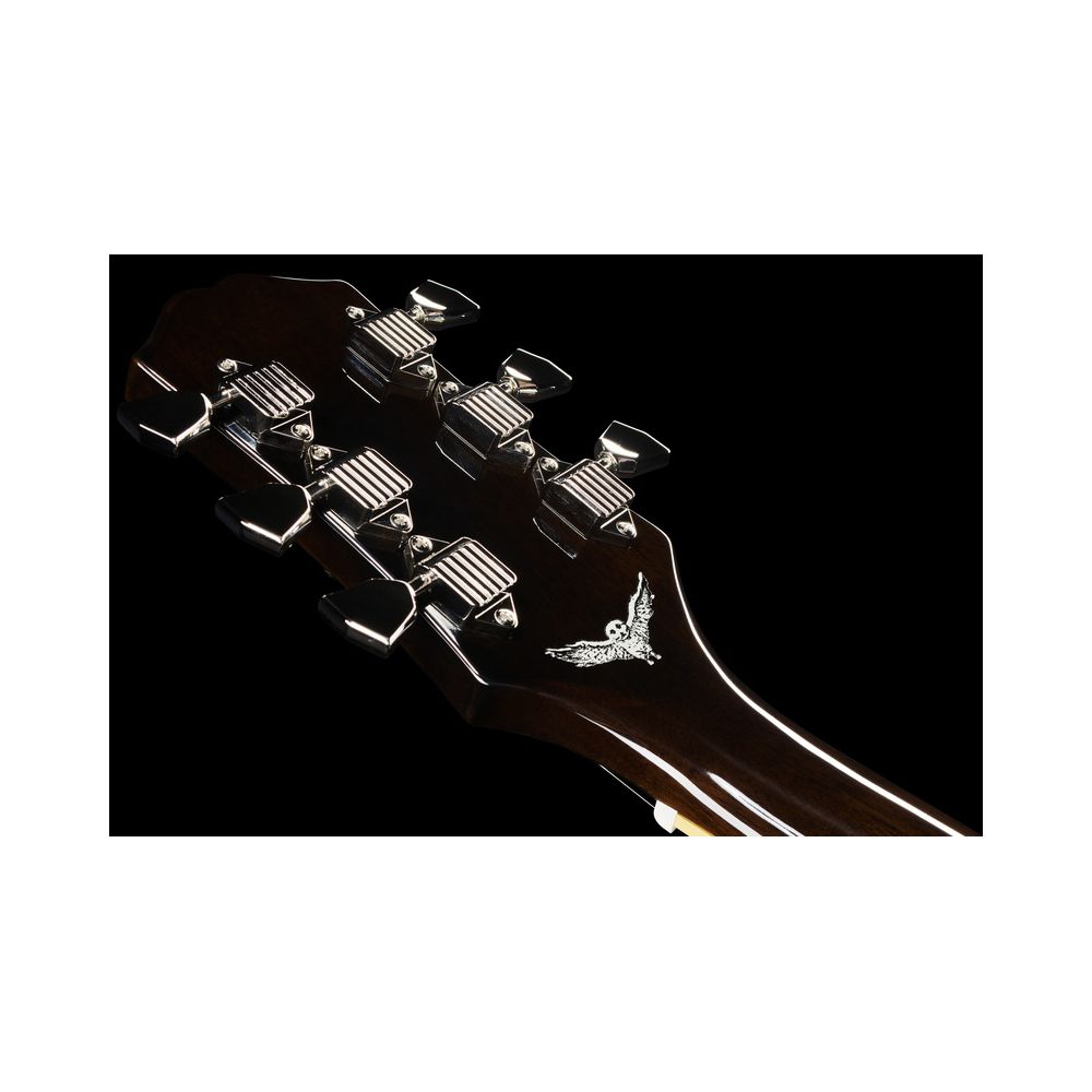 Epiphone Jim James ES