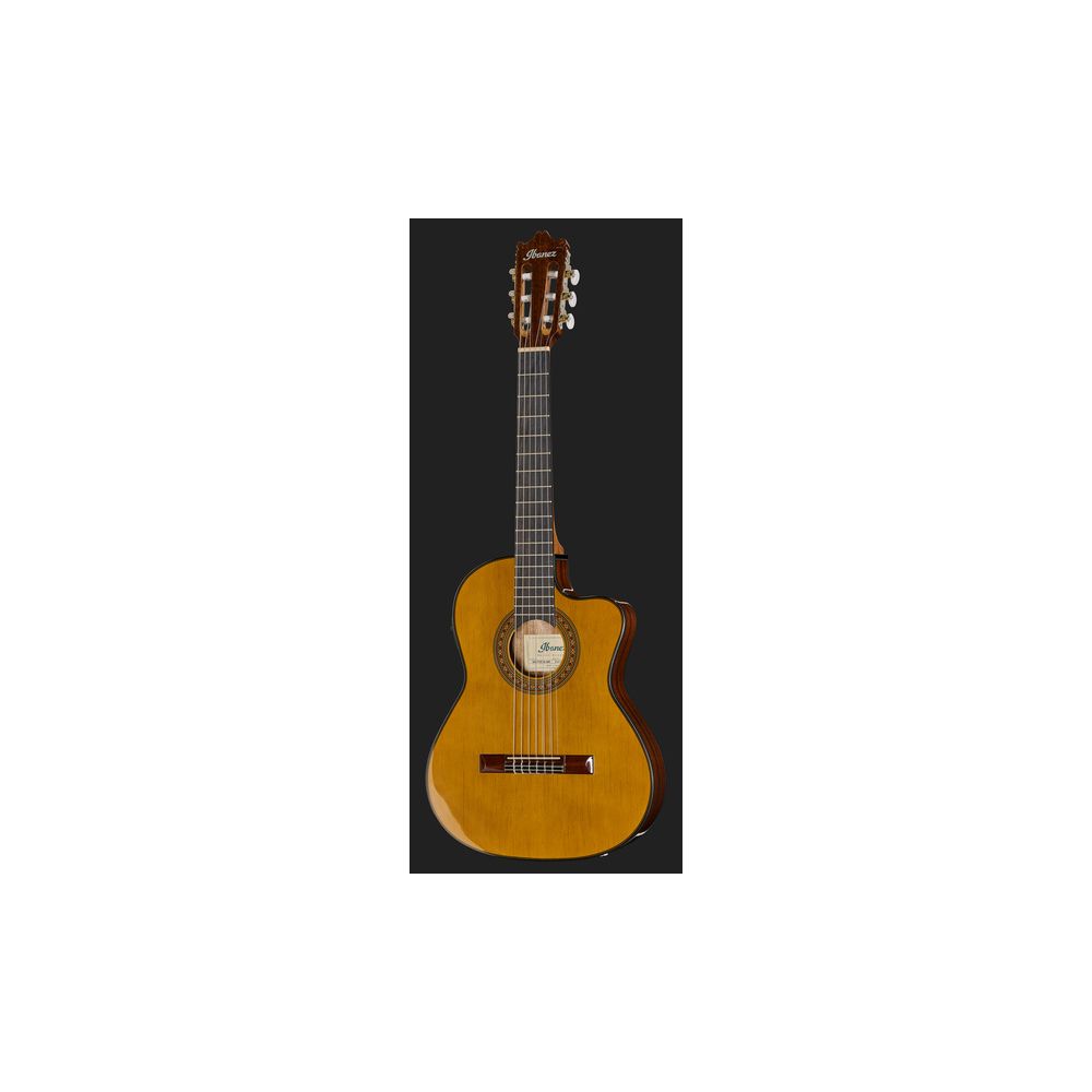 Ibanez GA5TCE3Q