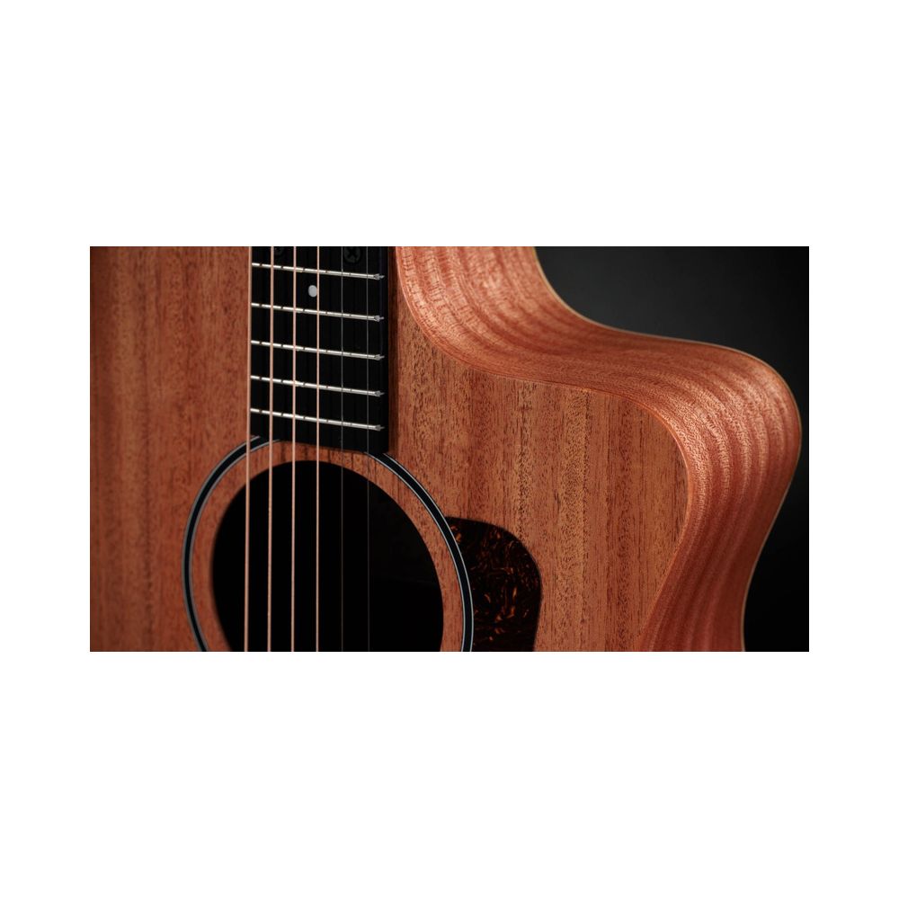 Taylor 24ce – Thomann Ireland