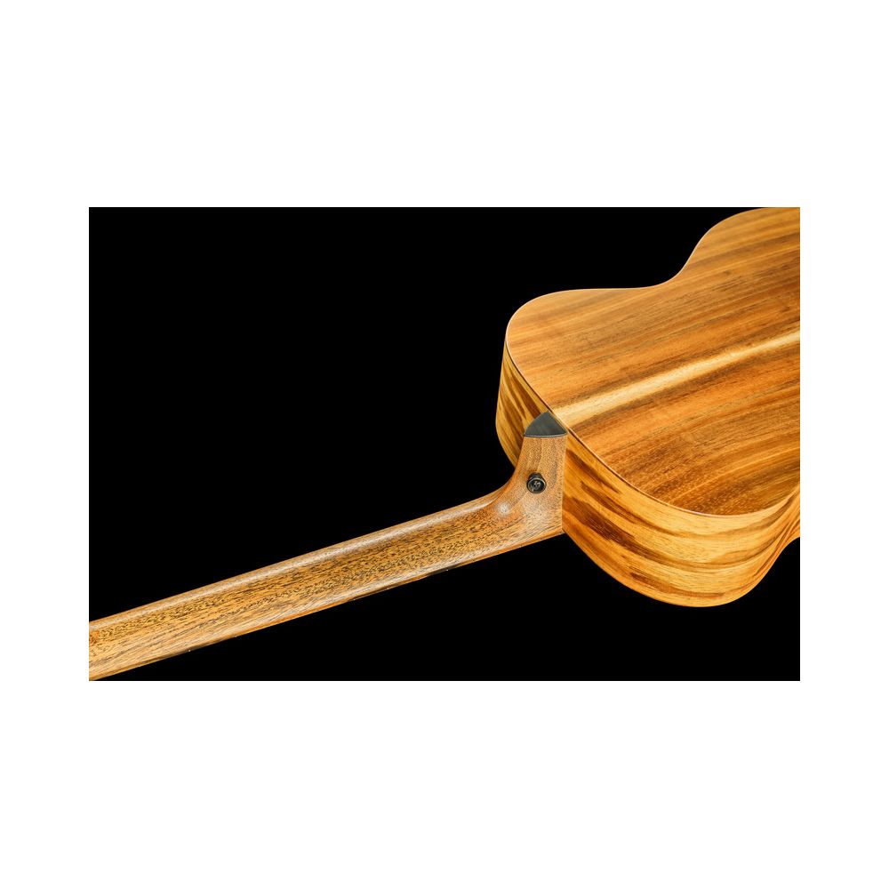 Taylor Jacob Collier Sign. JCSM