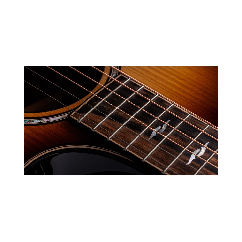 Taylor Builder´s Ed. 814ce Adirondack – Thomann Ireland