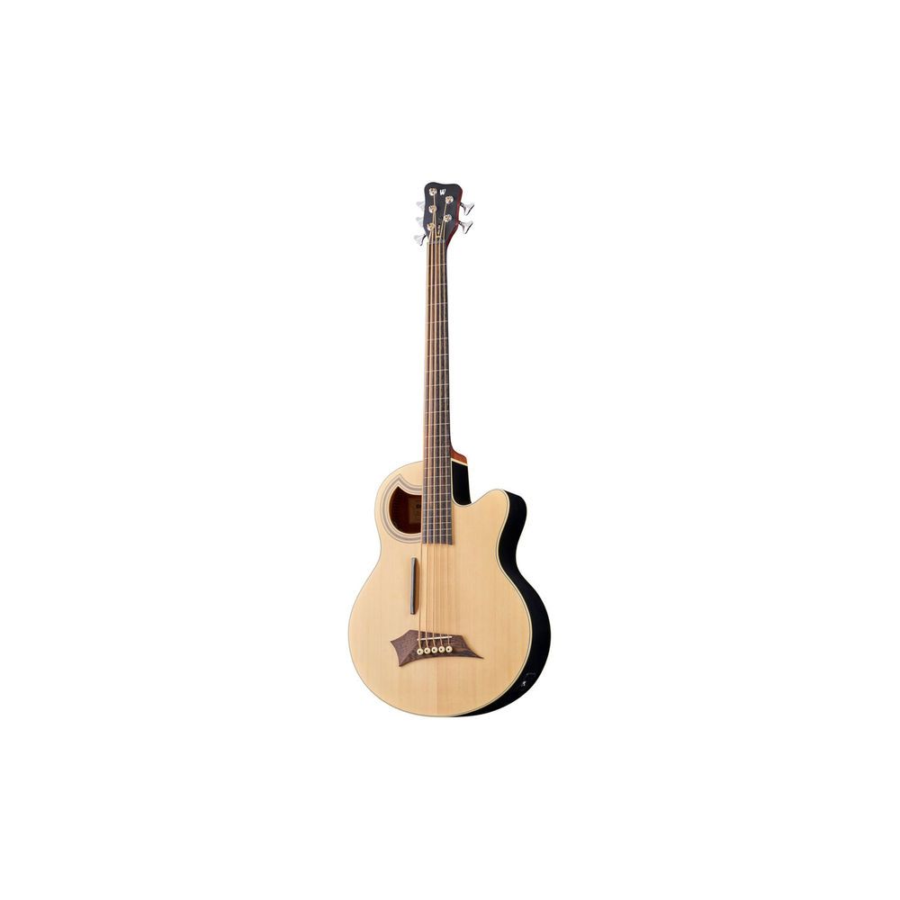 Warwick RB Alien Standard 5 FL NT – Thomann Ireland