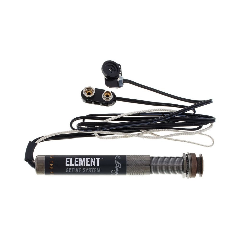 L.R.Baggs EAS Element Aktive System – Thomann Ireland