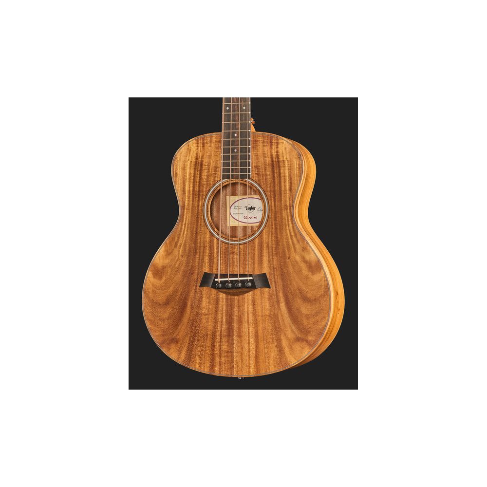 Taylor GS Mini