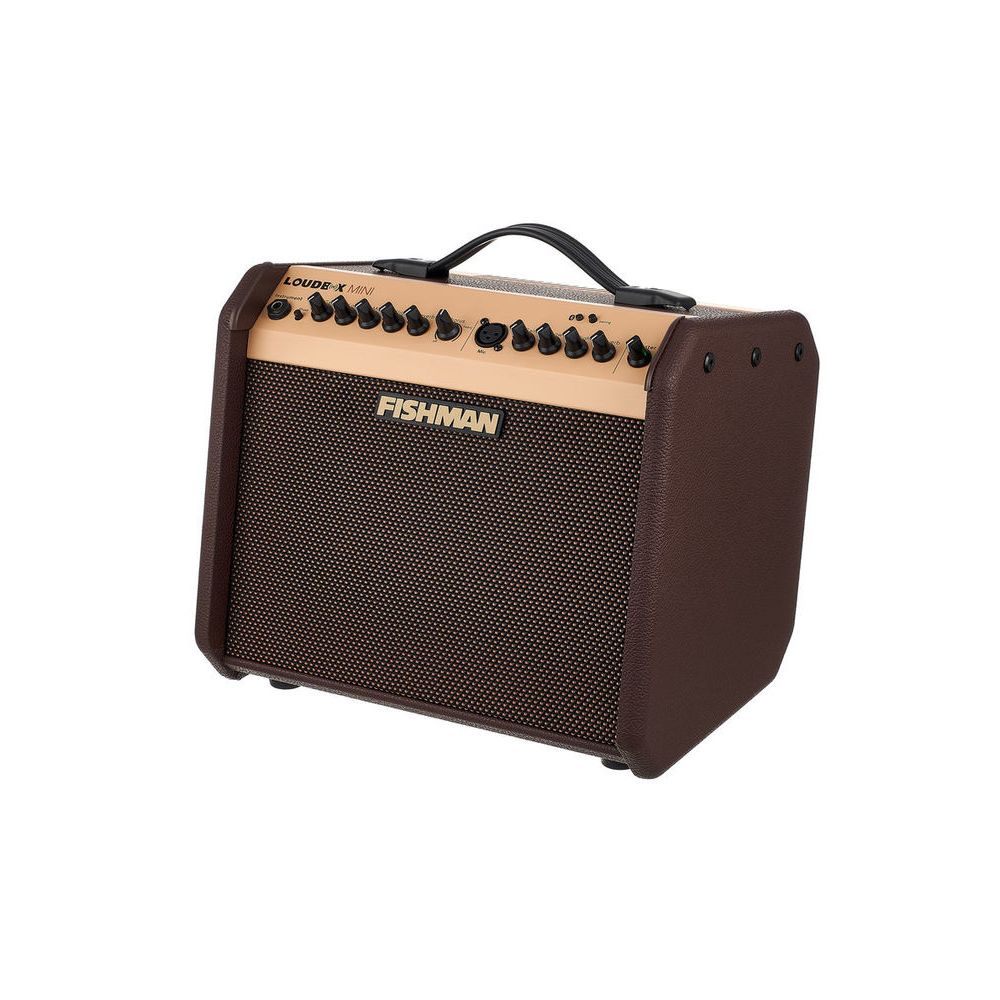 Fishman Loudbox Mini with Bluetooth – Thomann Ireland