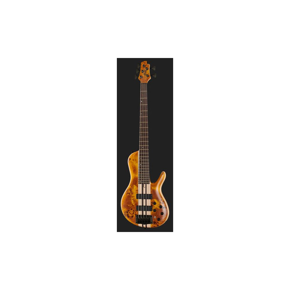 Cort A5 Plus SC Amber Open Pore – Thomann Ireland