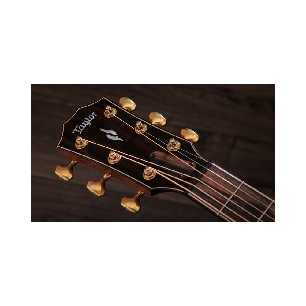 Taylor Builder´s Ed. 814ce Adirondack – Thomann Ireland