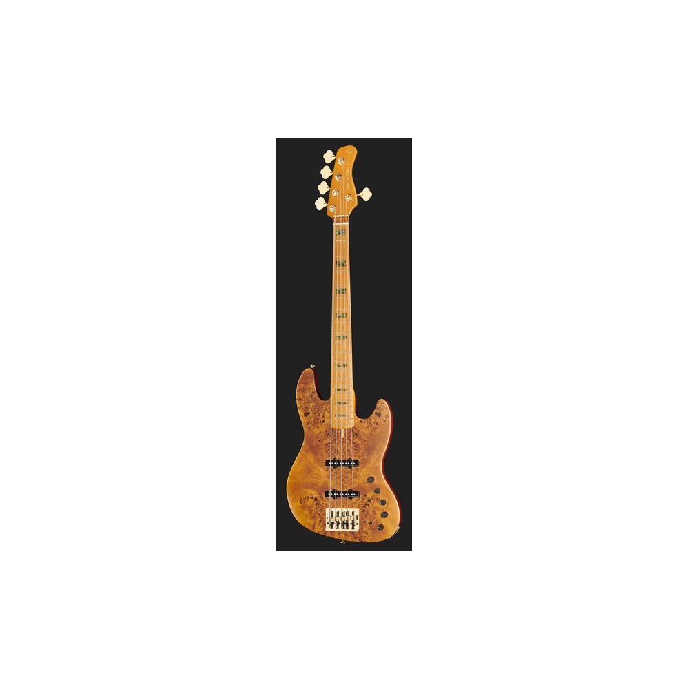 Marcus Miller V10