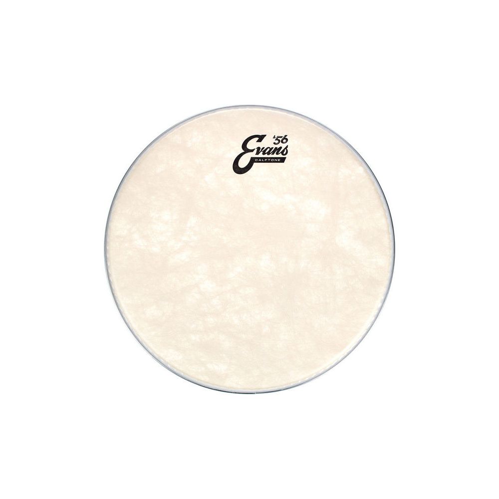 Evans 14" Calftone Tom – Thomann Ireland