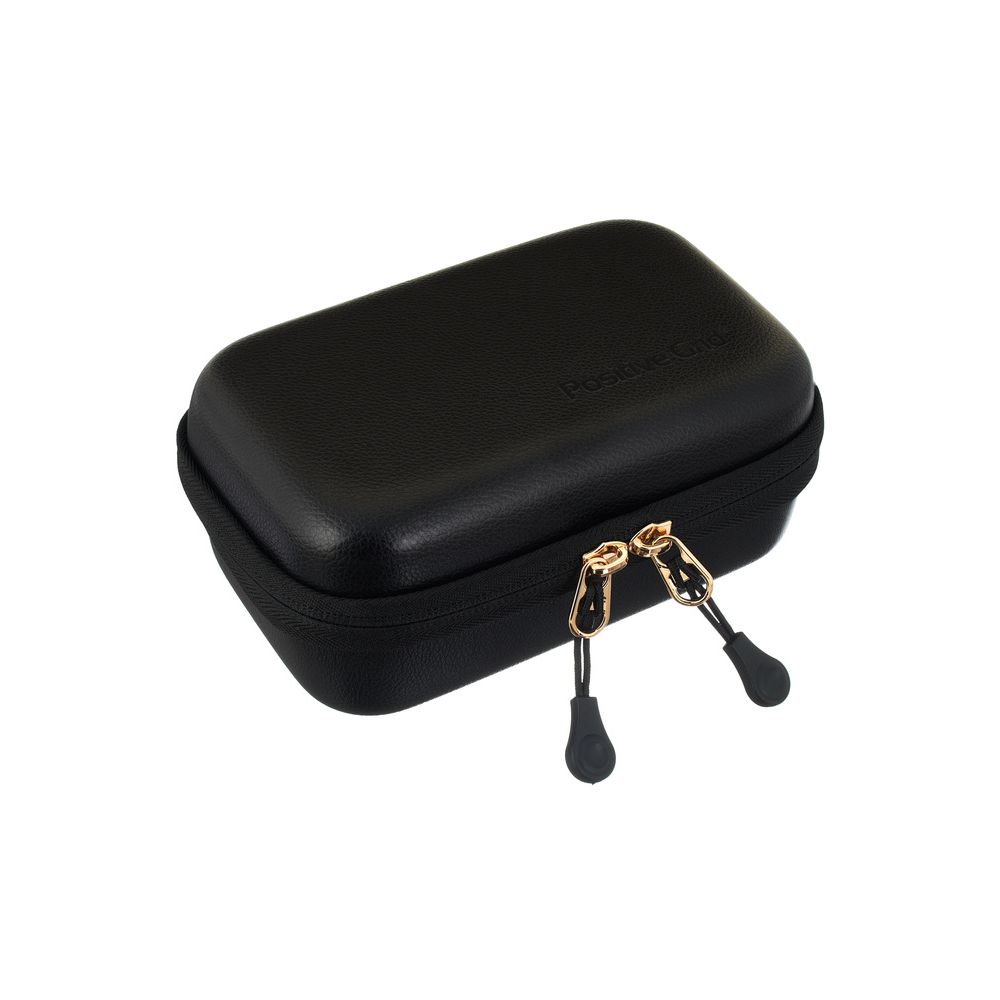 Positive Grid Spark Go Case – Thomann Ireland