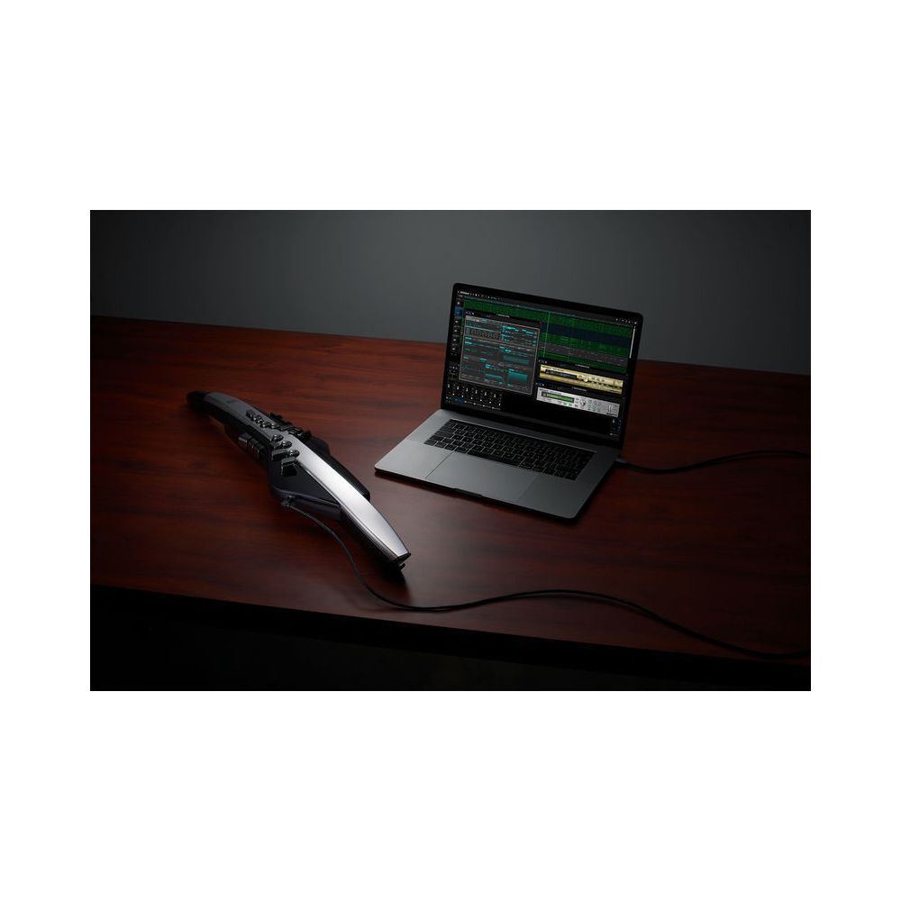 Roland Aerophone Pro AE