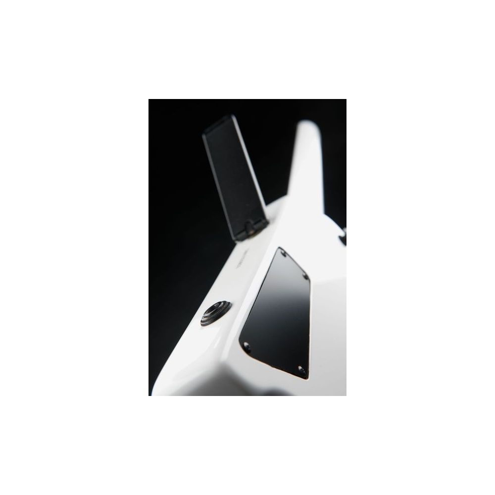 Steinberger Guitars Gt