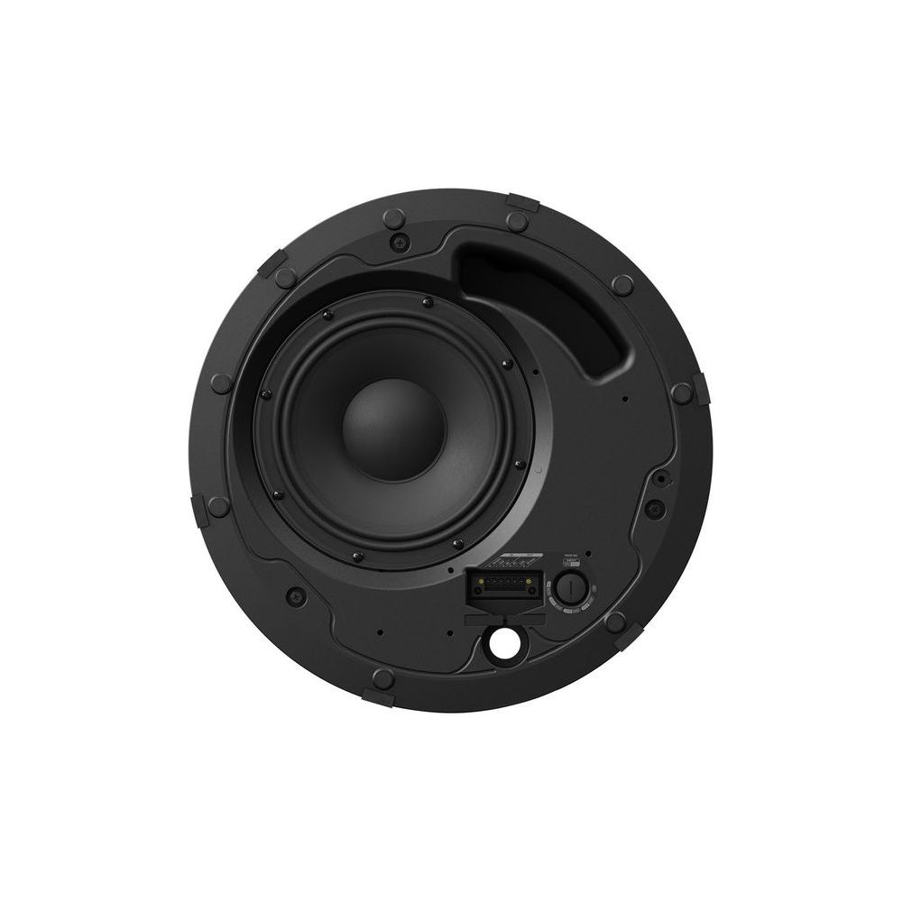 Bose Professional DesignMax DM8C