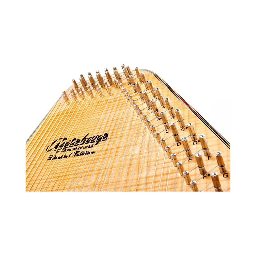 Oscar Schmidt OS110 21FNE Autoharp – Thomann Ireland
