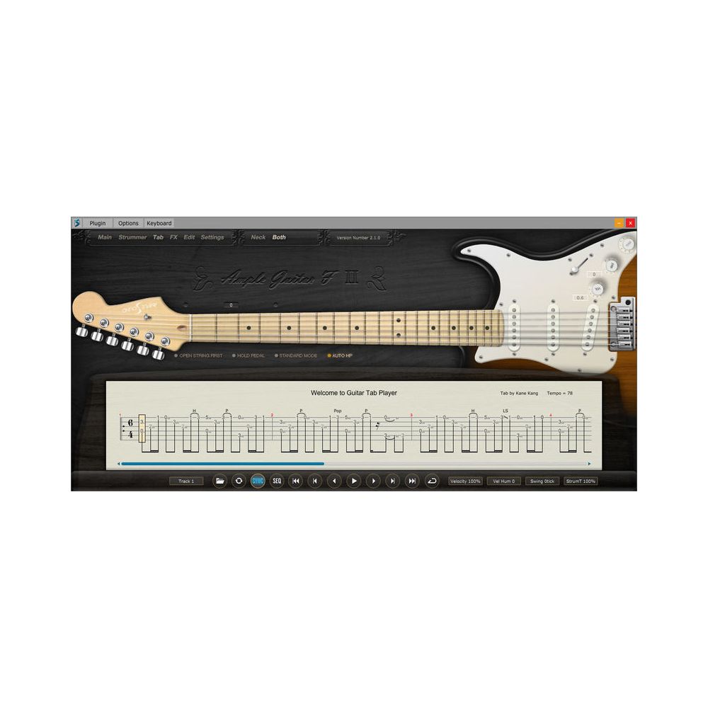 Ample Sound Ample Guitar SC III – Thomann Ireland