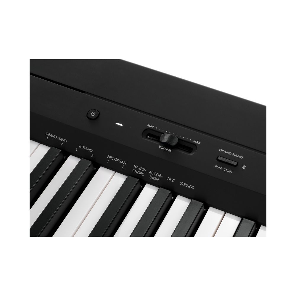 Yamaha P