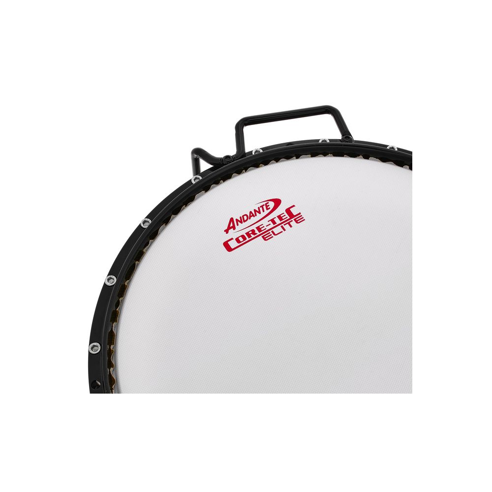 Andante Reactor 401 BW/BM – Thomann Ireland