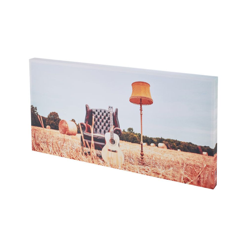 t.akustik Print Panel Acoustic Fields – Thomann Ireland