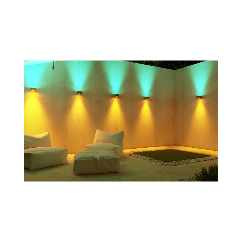 Ape Labs Double Wall Maxi V2 15° Creme – Thomann Ireland