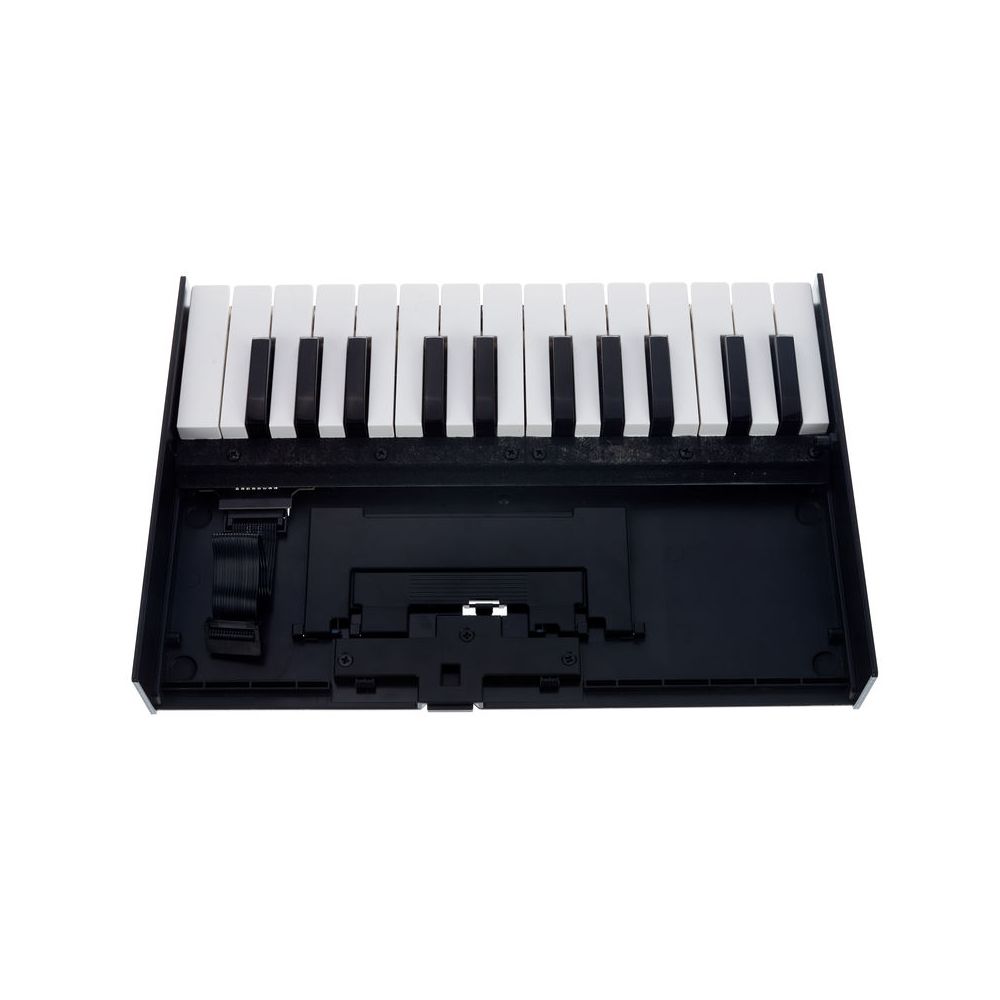 Roland Boutique K