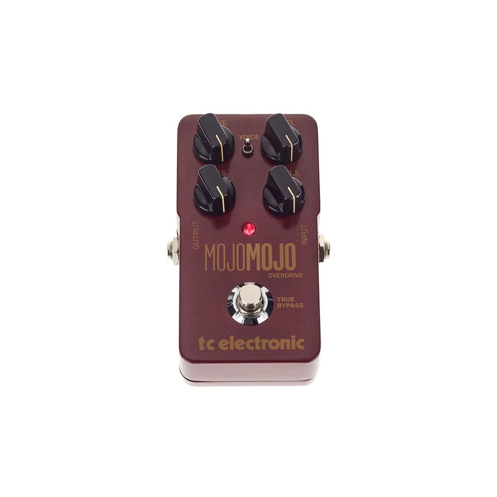 tc electronic MojoMojo – Thomann Ireland