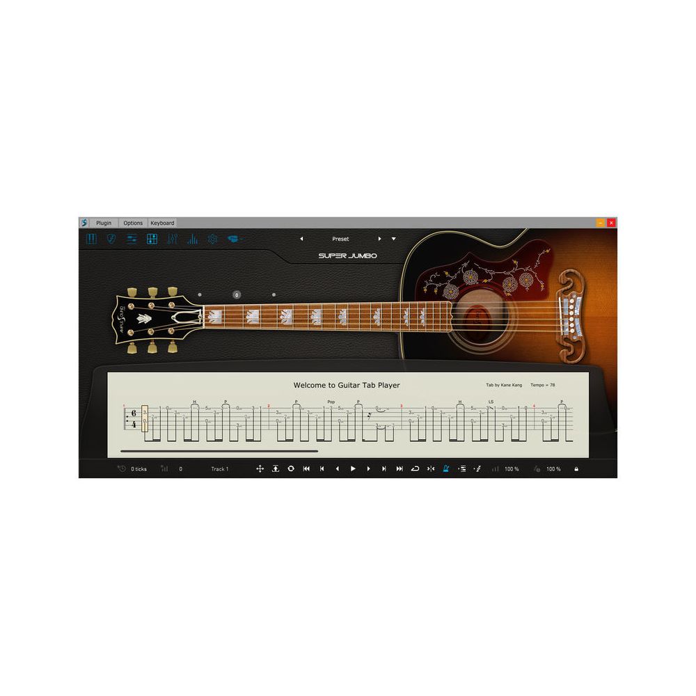Ample Sound Ample Guitar SJ – Thomann Ireland