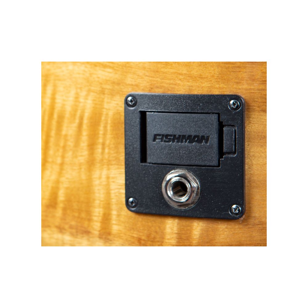 Breedlove Pursuit Exotic S Bass Amber CE – Thomann Ireland