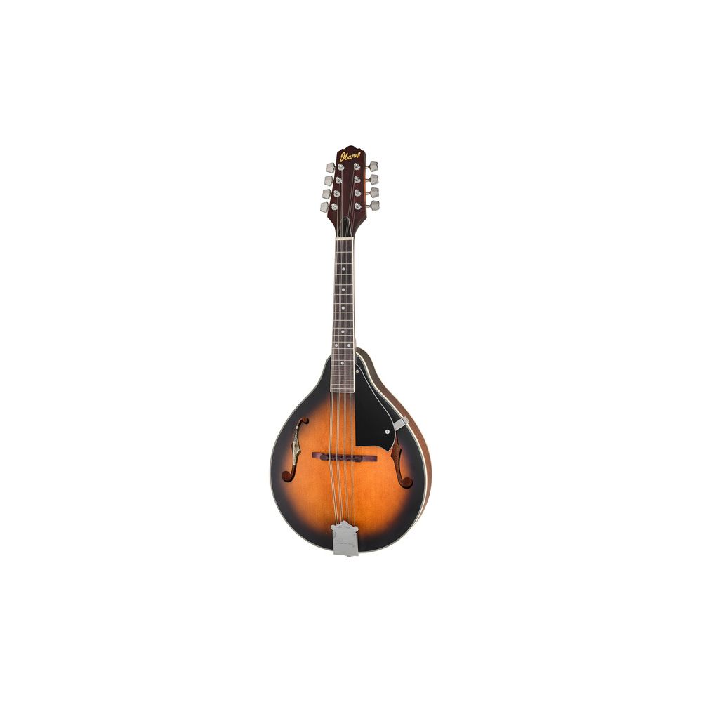 Ibanez M510