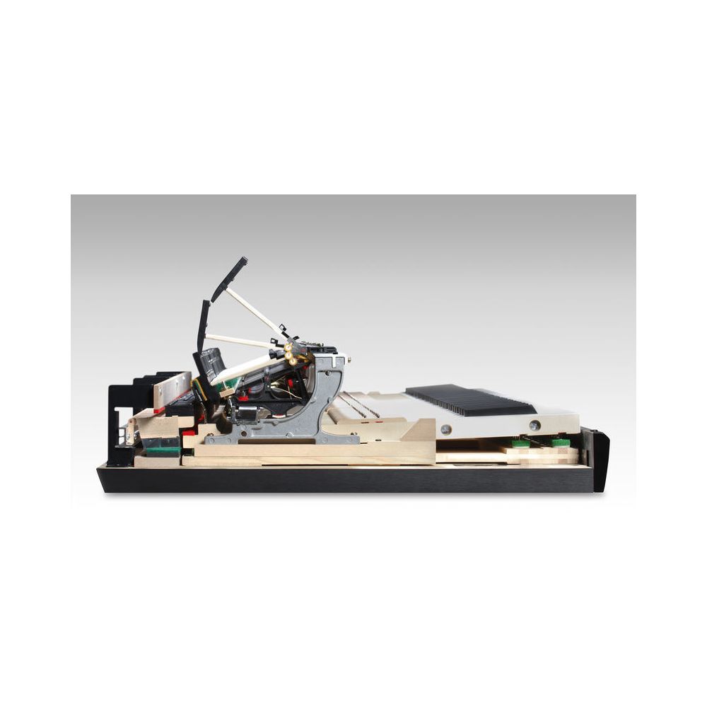 Kawai Novus NV