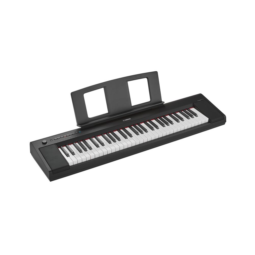 Yamaha NP