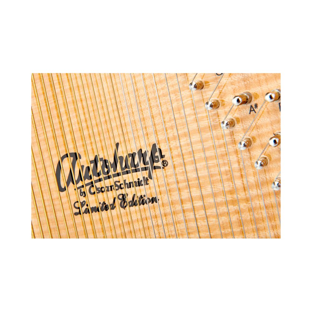 Oscar Schmidt OS110 21FNE Autoharp – Thomann Ireland