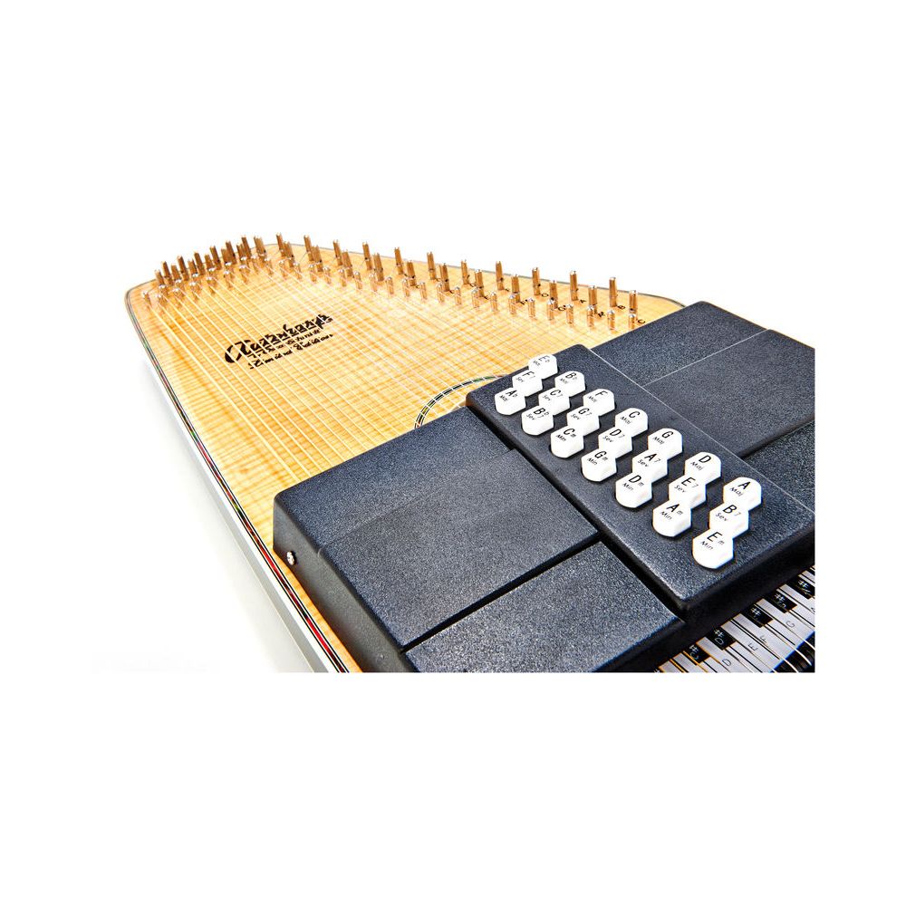 Oscar Schmidt OS110 21FNE Autoharp – Thomann Ireland