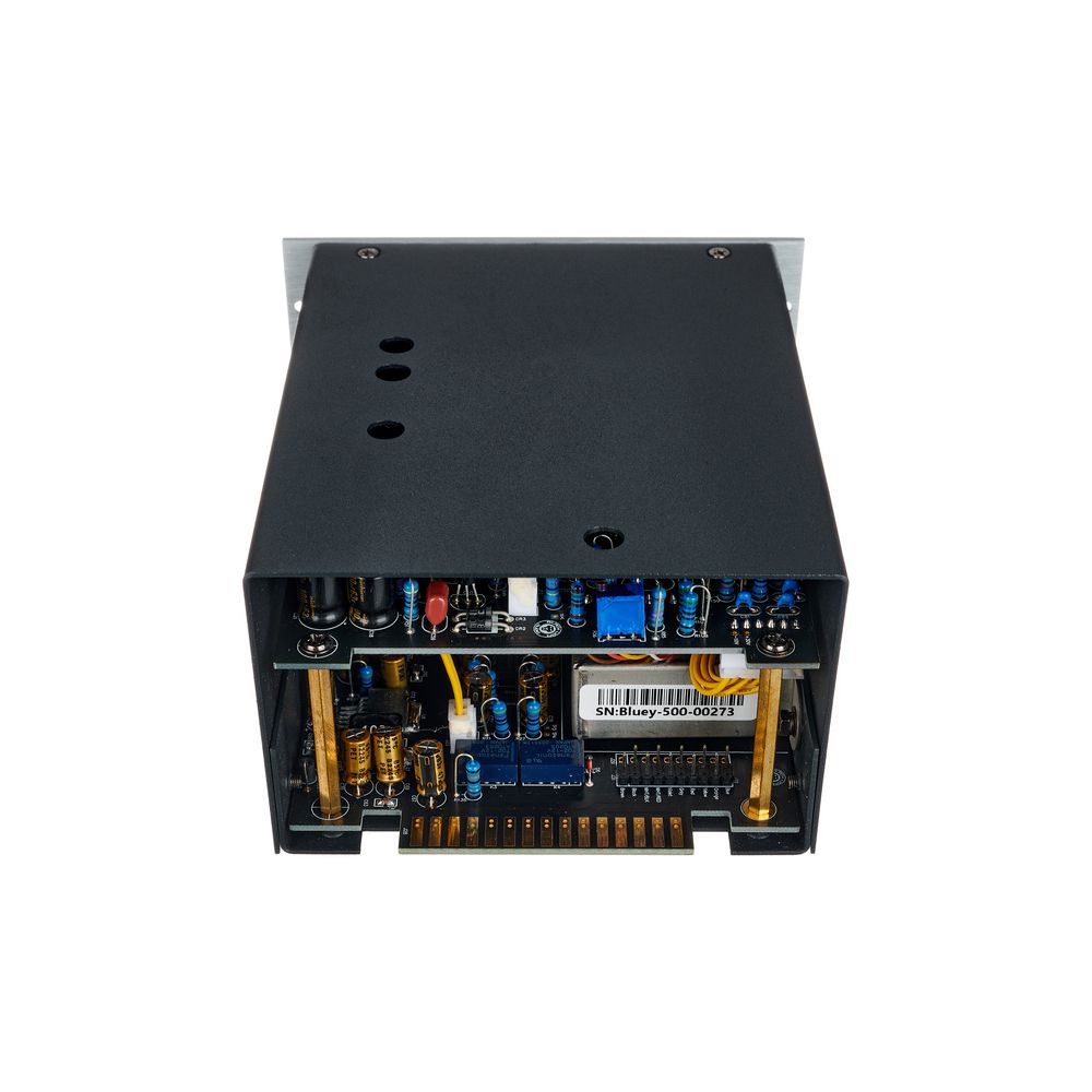 Black Lion Audio Bluey